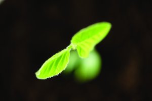 智能决策如何影响你的用户体验